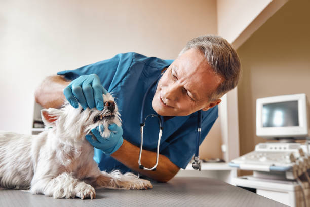 Best Weekend Emergency Dentist in Ashdown, AR