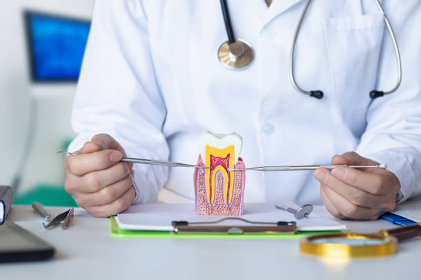 Best Emergency Treatment for Dental Infections or Abscesses in Ashdown, AR